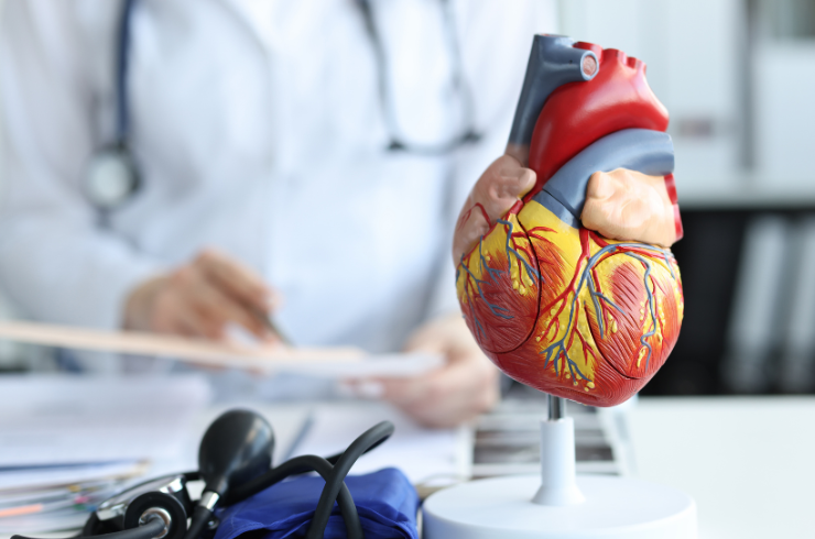 Non-Interventional Cardiology